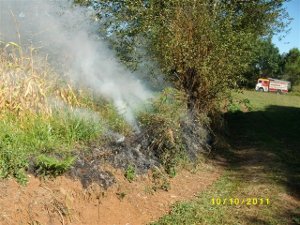 Extinguido un incendio forestal en una parcela situada en la parroquia de Castro, en el término municipal de Coristanco